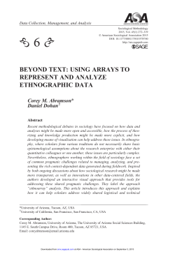 beyond text: using arrays to represent and analyze ethnographic data