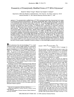 Processivity of Proteolytically Modified Forms of T7 RNA Polymerase?