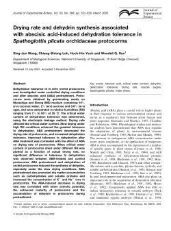 Drying rate and dehydrin synthesis associated with abscisic acid