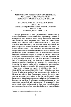 (HYMENOPTERA: FORMICIDAE) IN BRAZIL* USDA