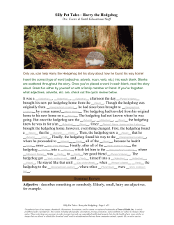 Silly Pet Tales - Harry the Hedgehog