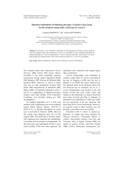 Intensive infestation of Siberian pit-viper, Gloydius halys halys by the