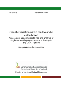 Genetic variation within the Icelandic cattle breed