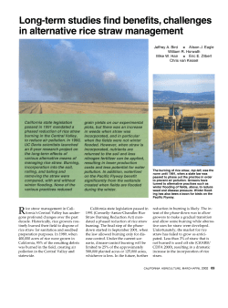 Long-term studies find benefits, challenges in alternative rice straw