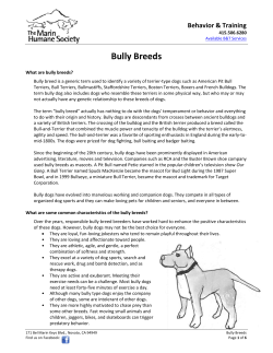 Bully Breeds - Marin Humane Society