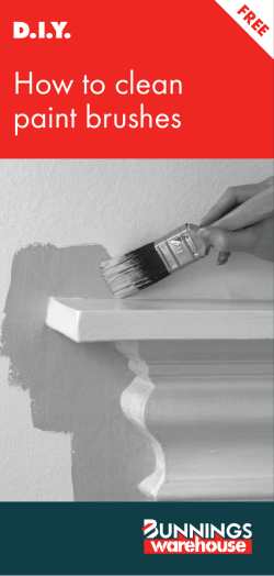 How to clean paint brushes