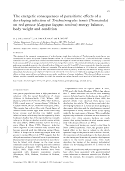 effects of a developing infection of Trichostrongylus tenuis