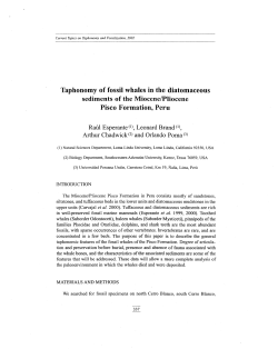 Taphonomy of fossil whales in the diatomaceous sediments of the