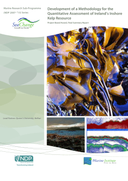 Development of a Methodology for the Quantitative Assessment of