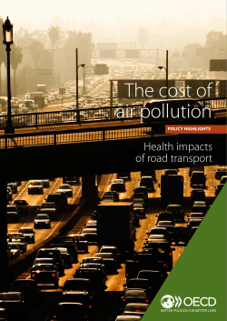 The cost of air pollution