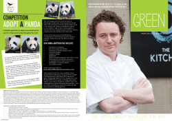 ADOPT A PANDA - ScottishPower
