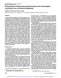 Characteristics of Mitochondria Isolated by Rate