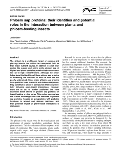Phloem sap proteins: their identities and
