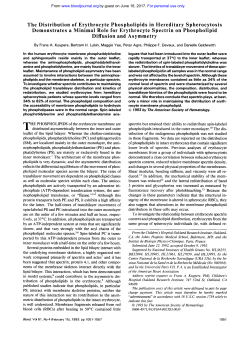 The Distribution of Erythrocyte Phospholipids in
