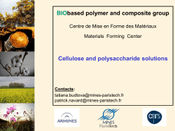 Cellulose and polysaccharide solutions - Cemef