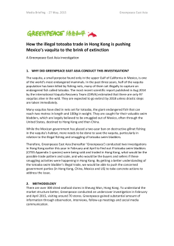 HK Totoaba Trade_Greenpeace Media Briefing