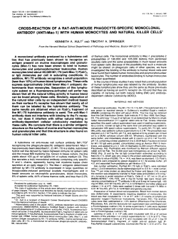 ANTI-Mac-1 - Springer Lab