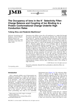 The Occupancy of Ions in the K+ Selectivity Filter: Charge Balance