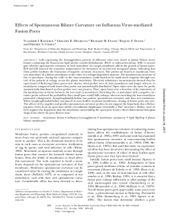 Effects of Spontaneous Bilayer Curvature on Influenza Virus