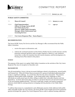 City Centre Response Plan &ndash; Status Report 1