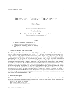 Bis2A 09.1 Passive Transport