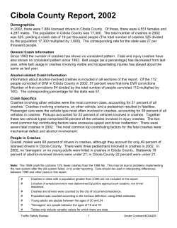 Cibola County Report, 2002 - New Mexico Traffic Crash Data