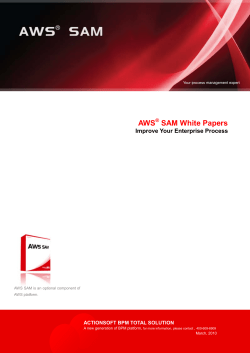 AWS SAM White Papers