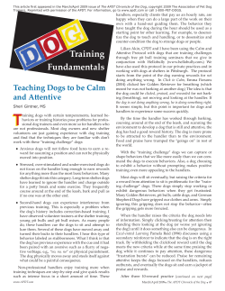 Training Fundamentals