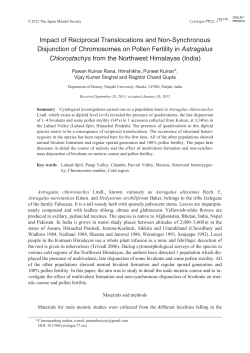 Impact of Reciprocal Translocations and Non-Synchronous