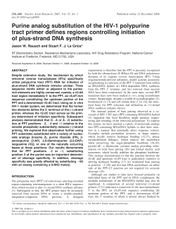Purine analog substitution of the HIV