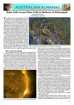 Solar Cells versus Plant Cells: In Defence of Chlorophyll