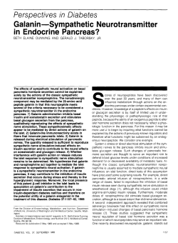 Galanin-Sympathetic Neurotransmitter in Endocrine Pancreas?