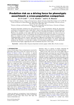 Predation risk as a driving force for phenotypic assortment: a cross