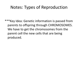 Notes: Types of Reproduction