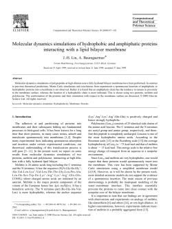 Molecular dynamics simulations of hydrophobic and amphiphatic