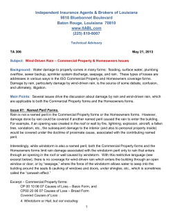 TA-306-Wind-Driven-Rain