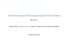 Ameba-inspired Self-organizing Particle Systems