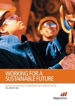 BHP Billiton HSEC Full Report - Sustainability Disclosure Database