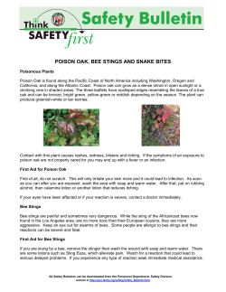 poison oak, bee stings and snake bites