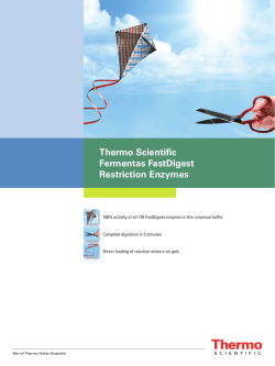 Thermo Scientific Fermentas FastDigest Restriction Enzymes