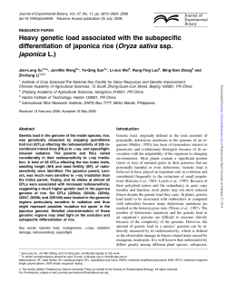 Heavy genetic load associated with the subspecific differentiation of