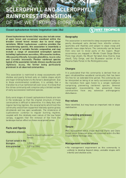 Closed lophostemon forests (vegetation code 20a)