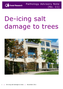 De-icing salt damage to trees