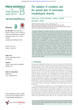 The radiation of cynodonts and the ground plan of mammalian