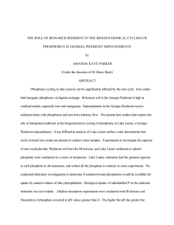 THE ROLE OF IRON-RICH SEDIMENT IN THE BIOGEOCHEMICAL