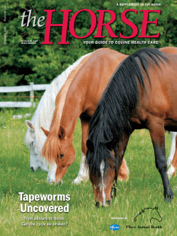 tapeworms Uncovered