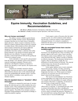 Equine Immunity, Vaccination Guidelines