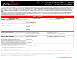 level appropriate stunts, pyramids, tosses