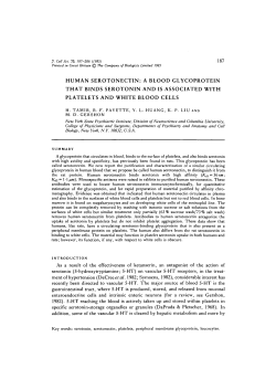 human serotonectin: a blood glycoprotein that binds serotonin and is