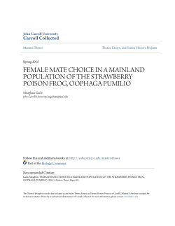 female mate choice in a mainland population of